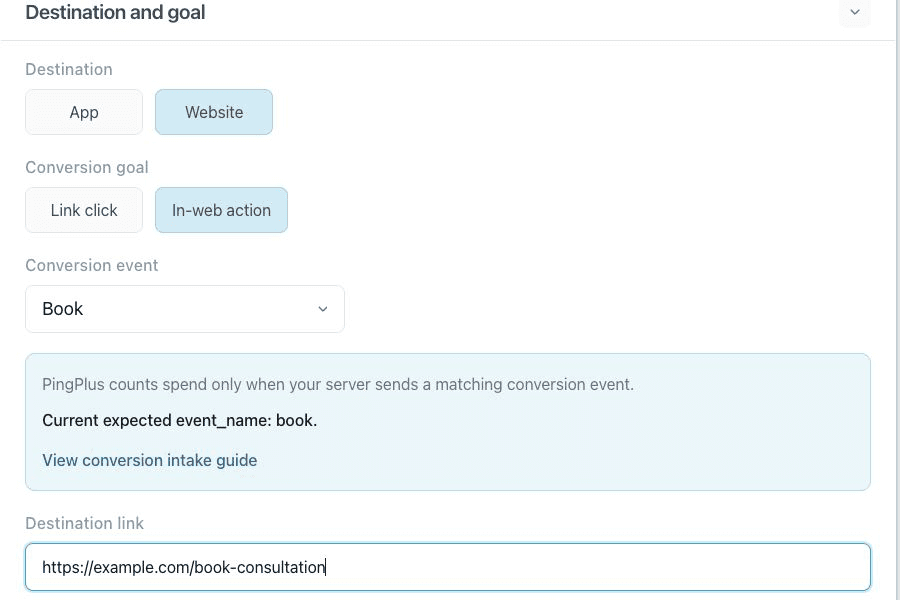 PingPlus campaign form showing a website destination and customer outcome selected with sample data